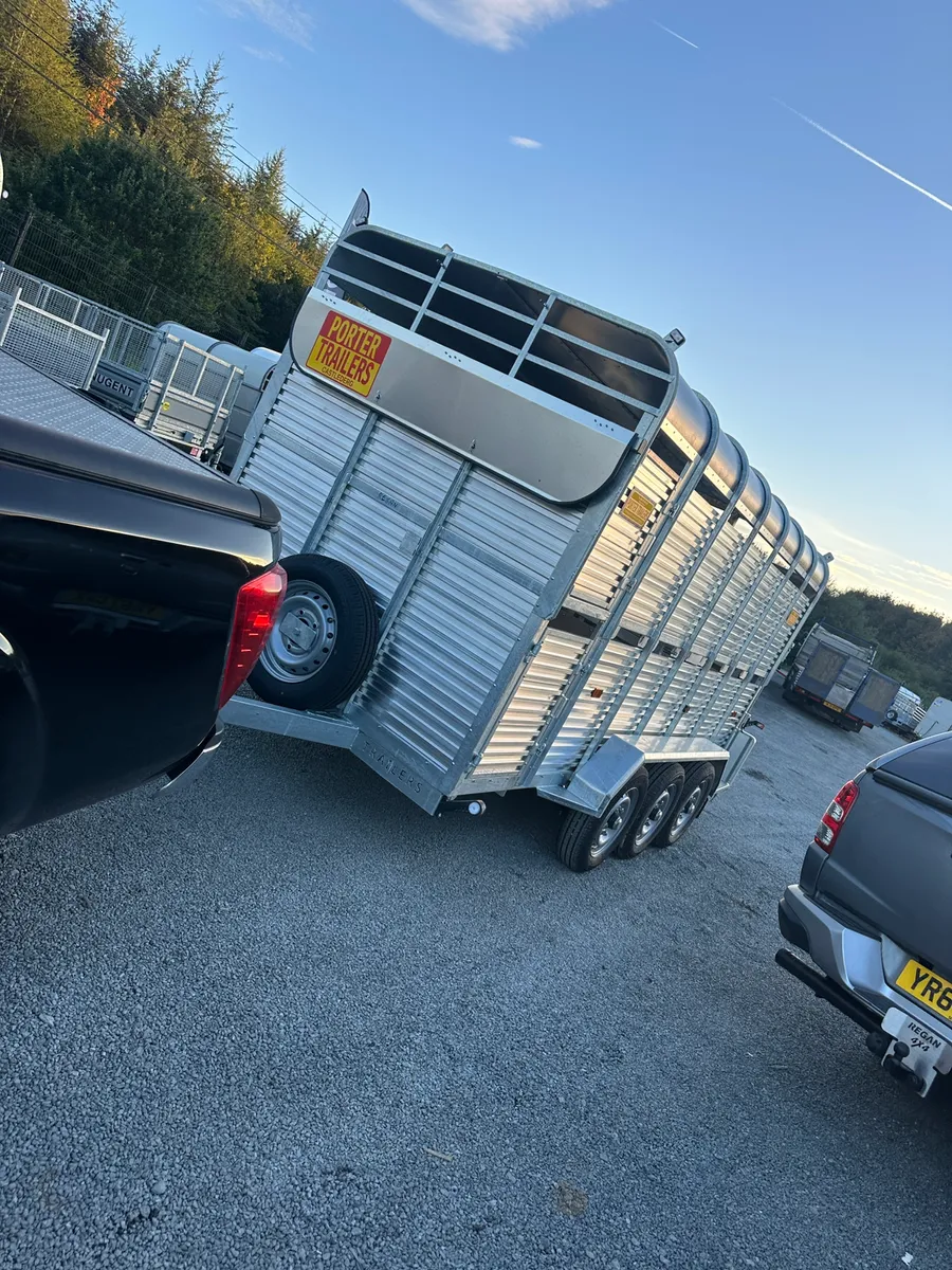 New Porter Cattle Trailer 14x6 - Image 2