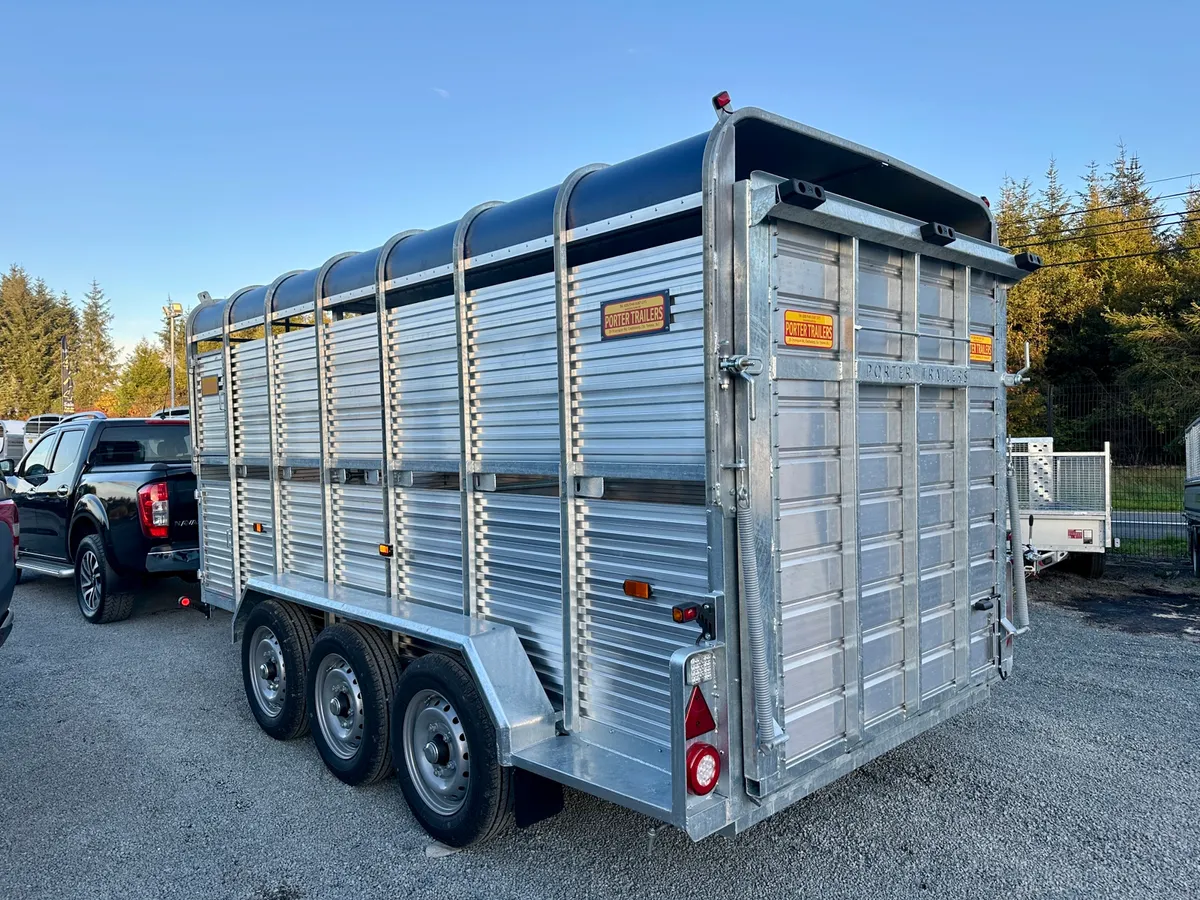 New Porter Cattle Trailer 14x6 - Image 3