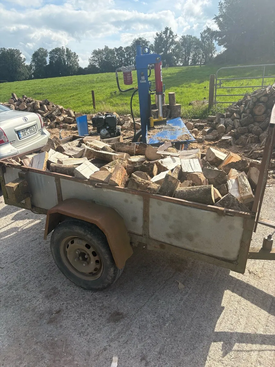 Ash Firewood for Sale - Image 3