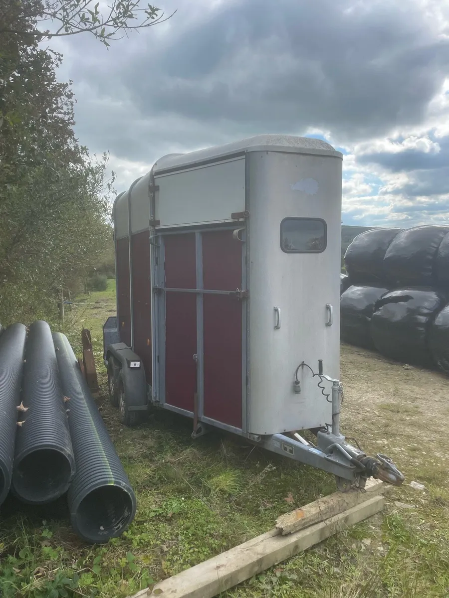 505 Horsebox.   Project - Image 1