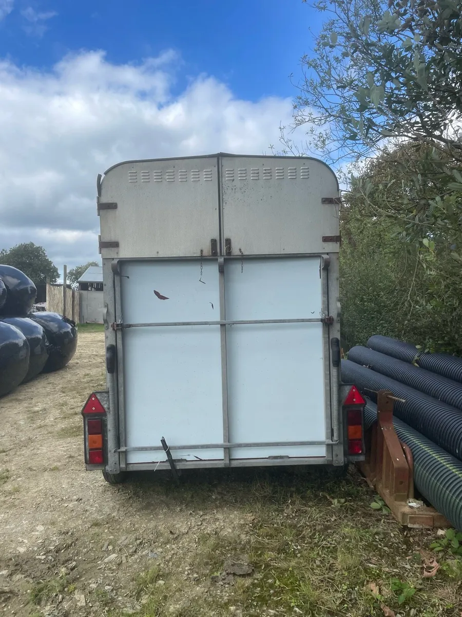 505 Horsebox.   Project - Image 4