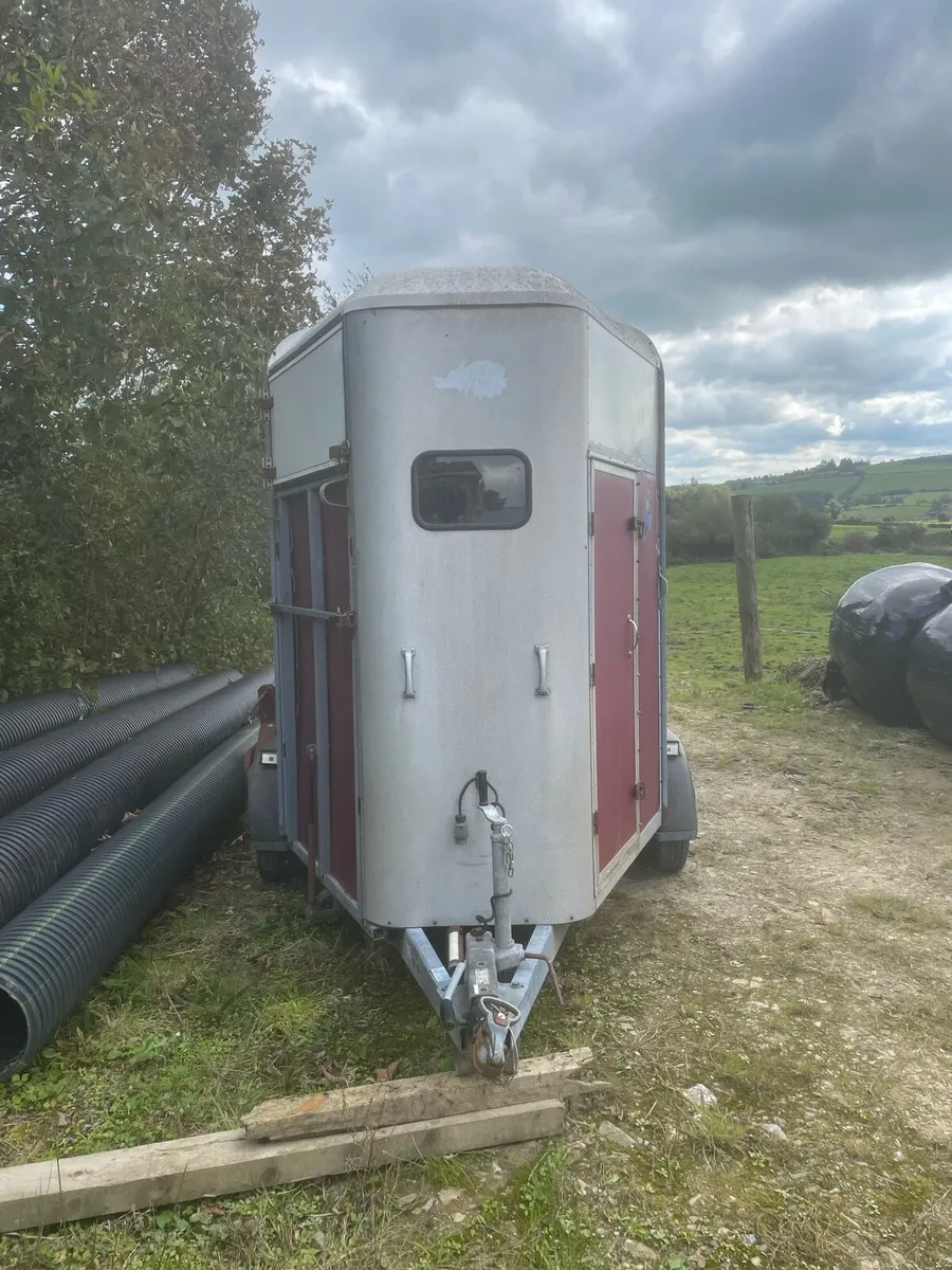 505 Horsebox.   Project - Image 2