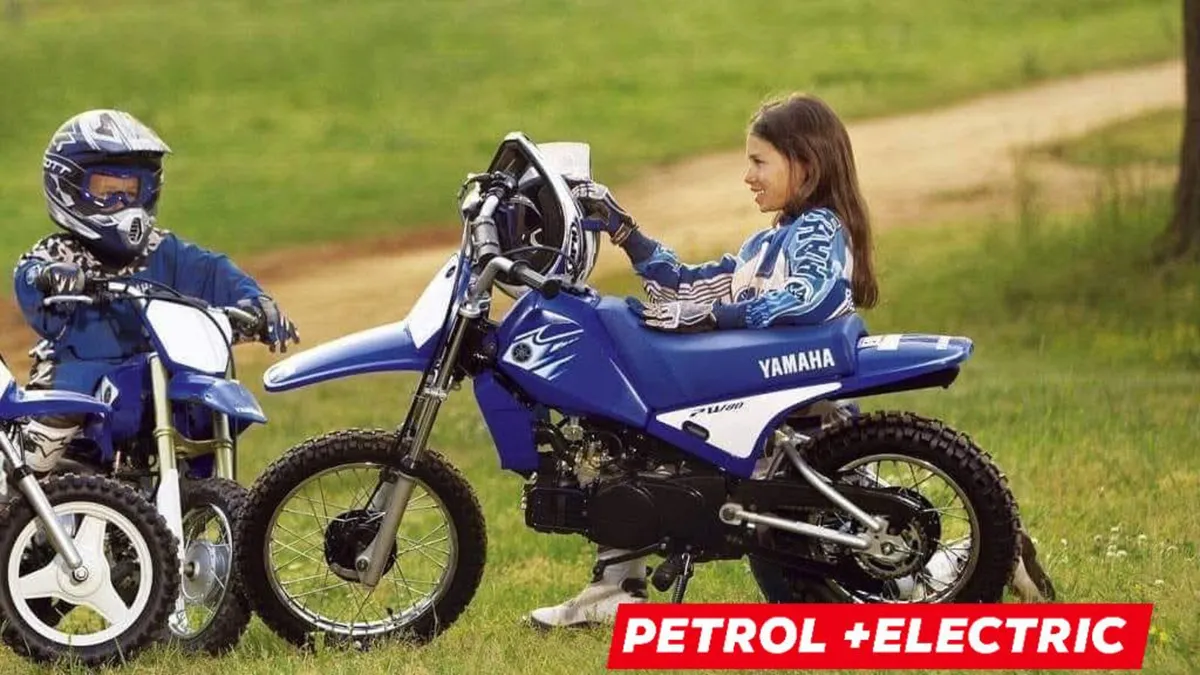 BIKES QUADS BUGGIES ELECTRIC/PETROL XMAS CLUB - Image 1