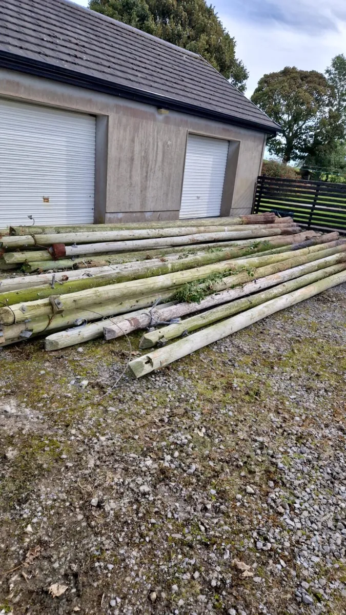 Telegraph Poles - Image 1