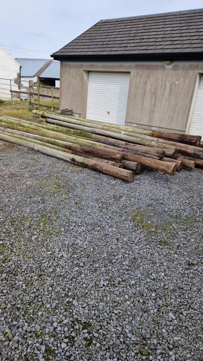 Telegraph Poles - Image 2