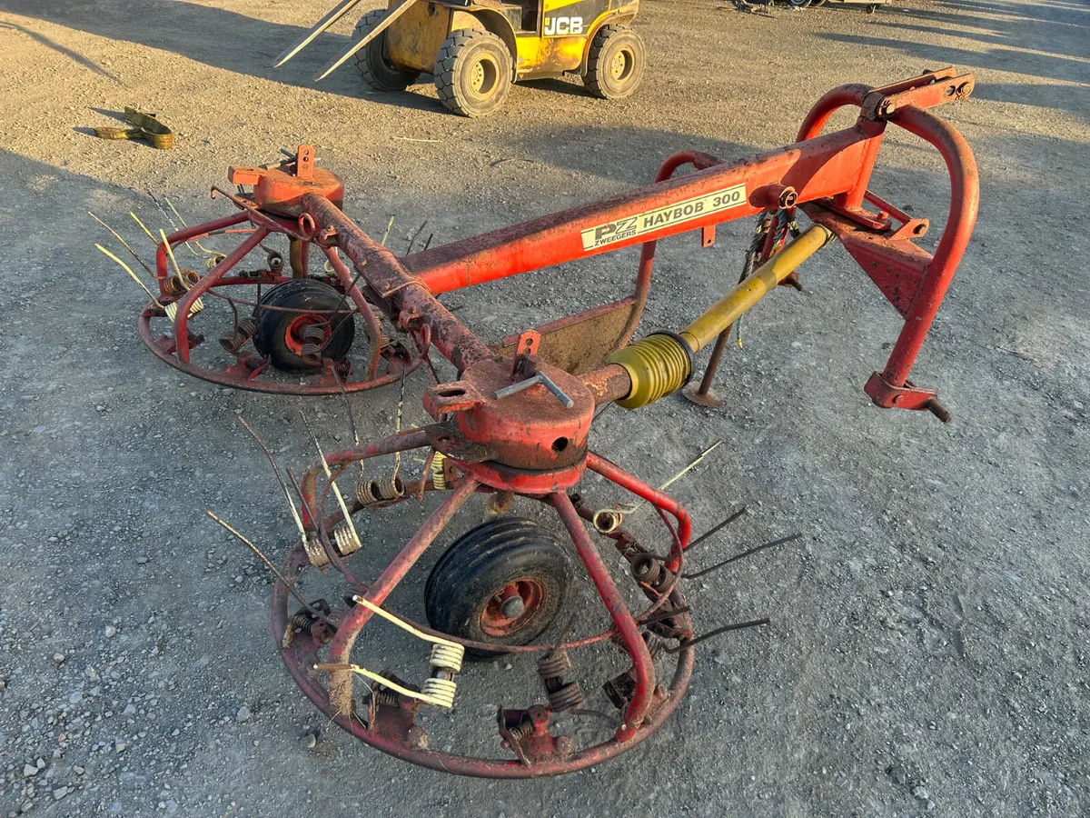 PZ 300 Haybob - Image 4