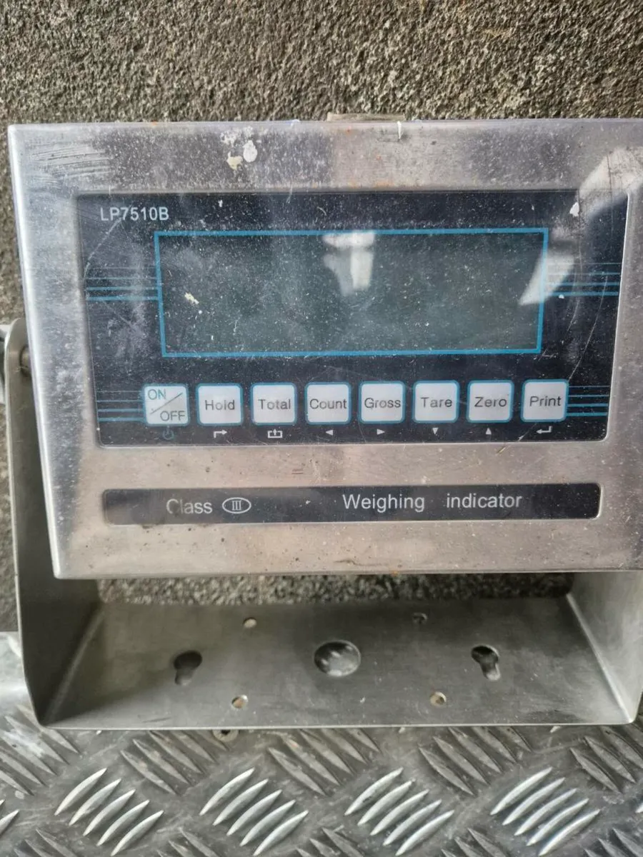 Weighting scales - Image 2