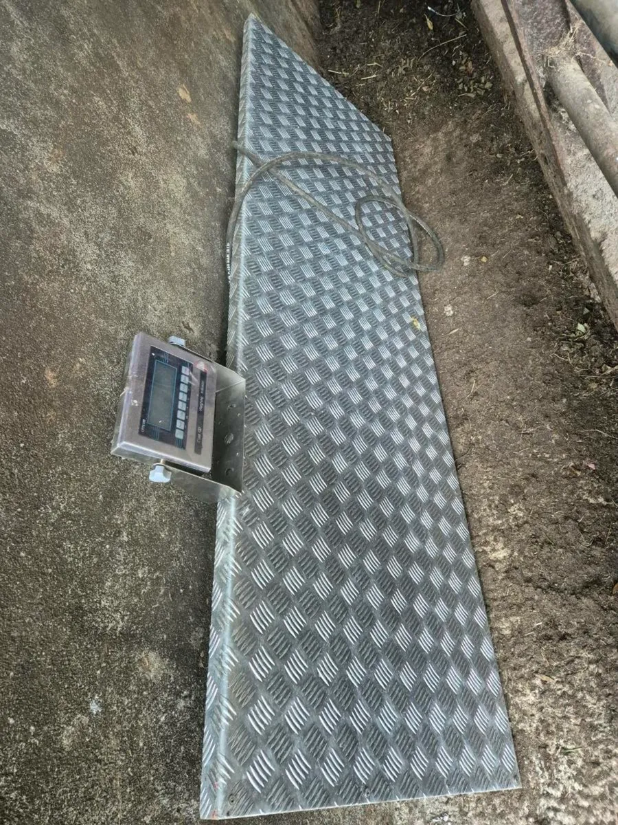 Weighting scales - Image 1