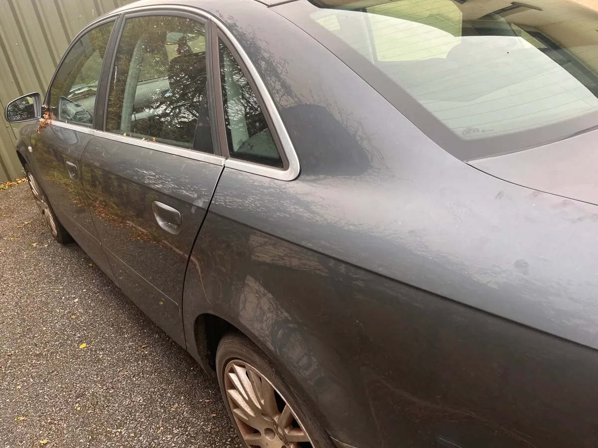 Audi B7 1.9TDI - Image 2