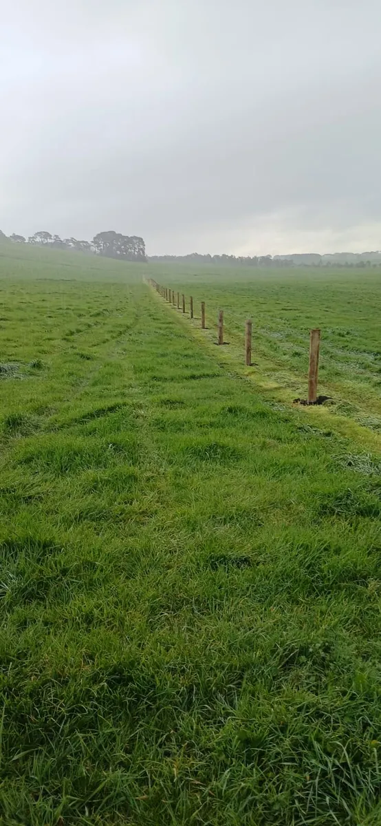 Fencing services - Image 1