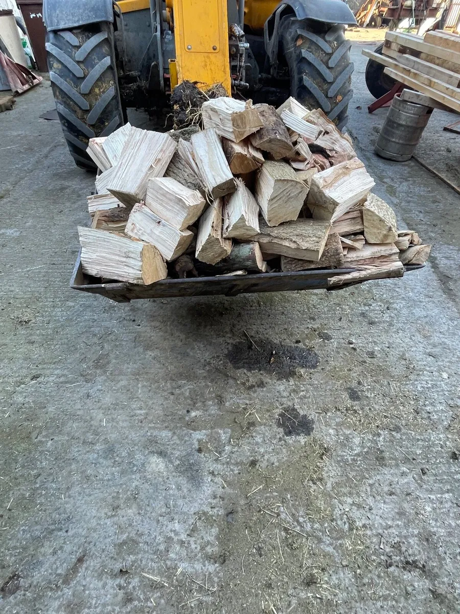 Firewood - Image 4