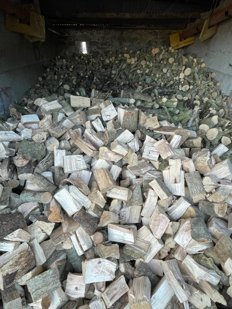 Firewood - Image 1