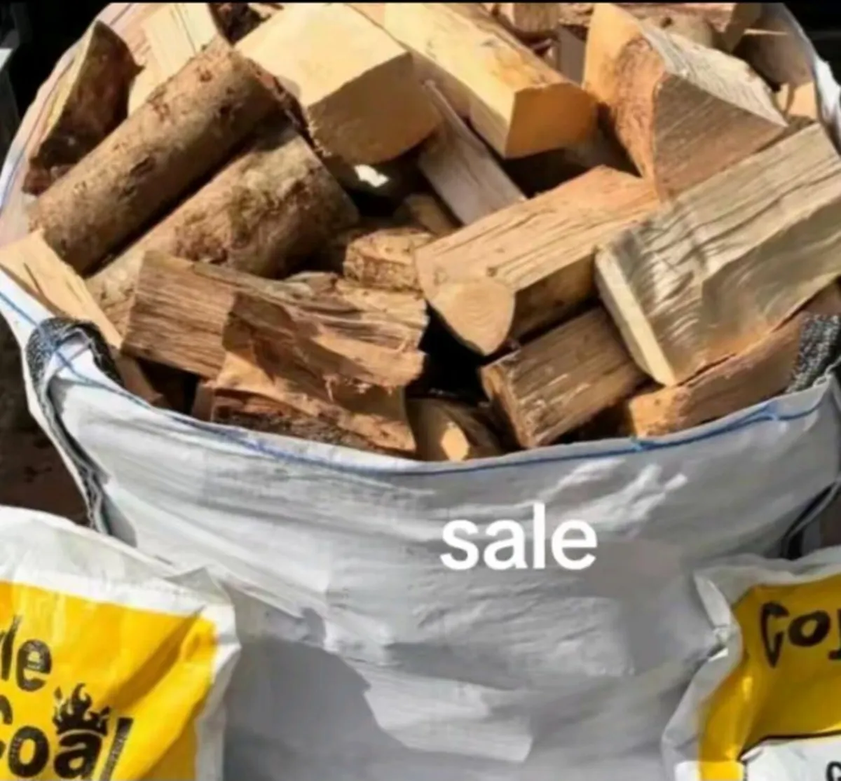 Logs and coal - Image 1