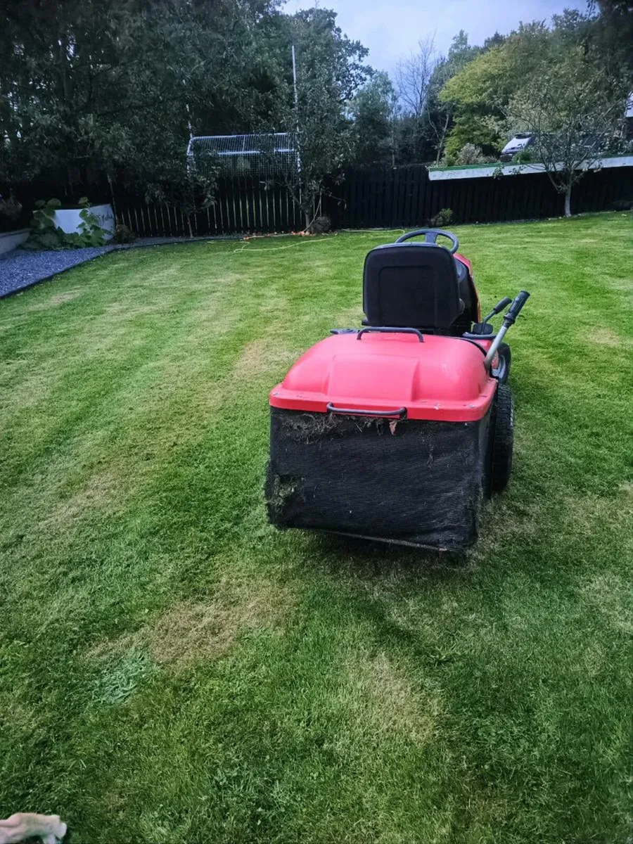 Lawnmower - Image 2