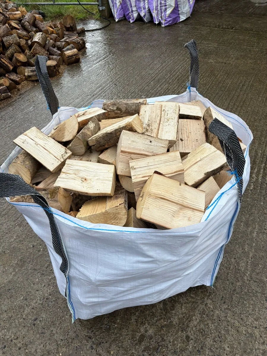 Ash Firewood for Sale - Image 4