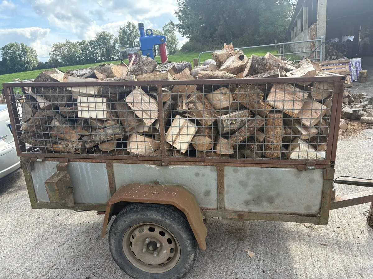 Ash Firewood for Sale - Image 1