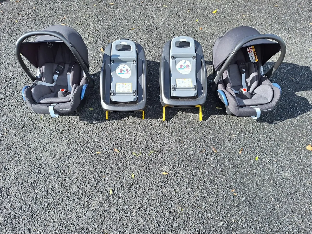 Twin Buggy - Image 3