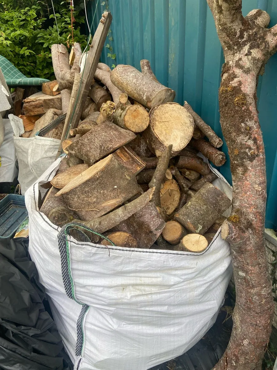 Beech firewood