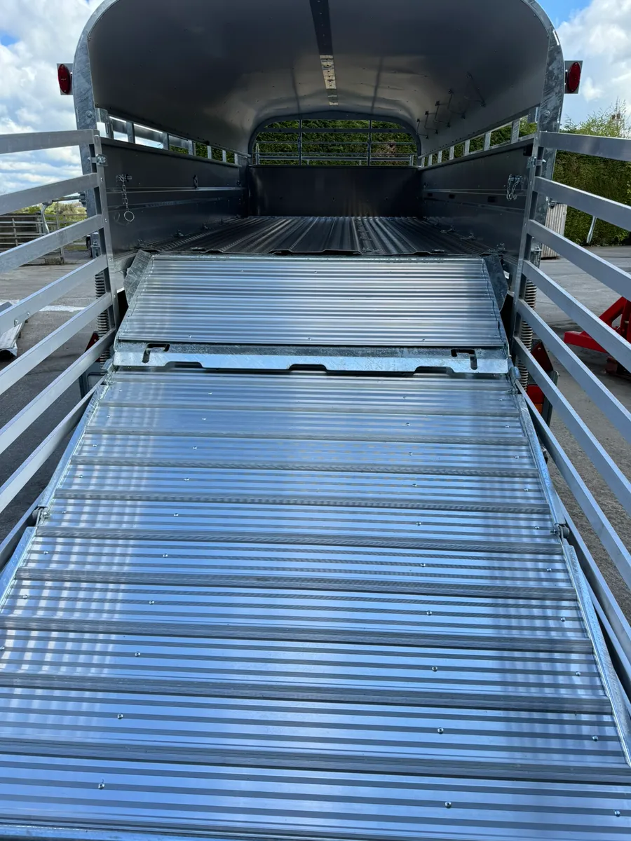 Nugent livestock trailer - Image 4