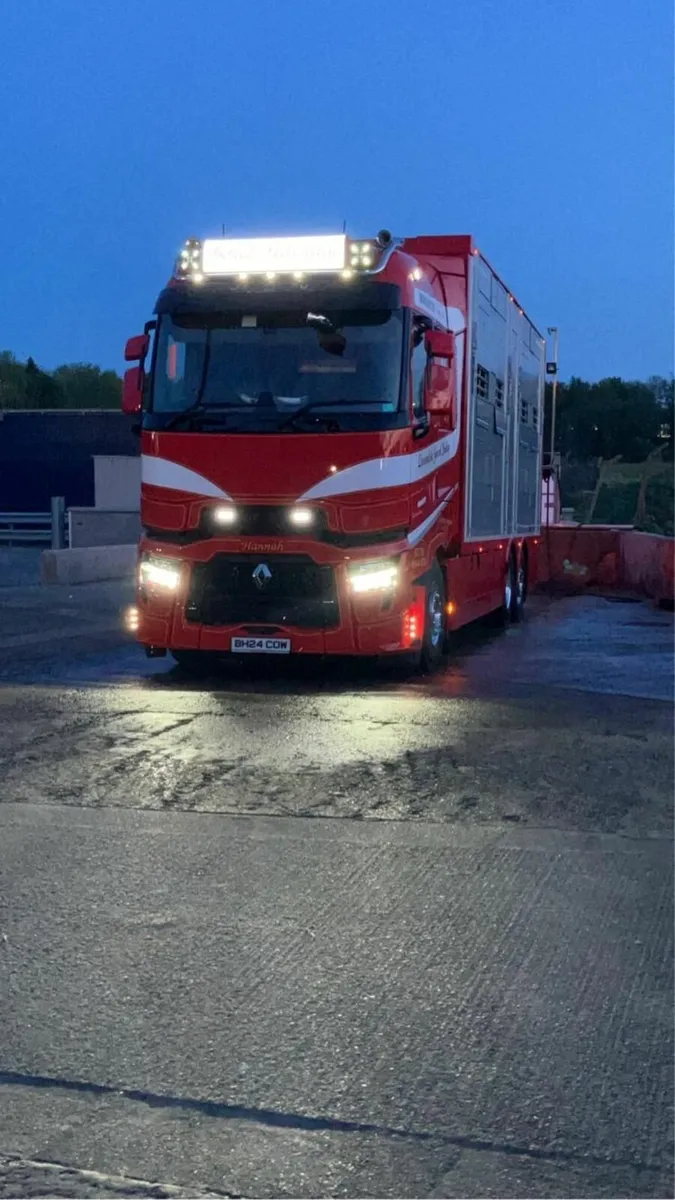 Renault Other 2024 - Image 1