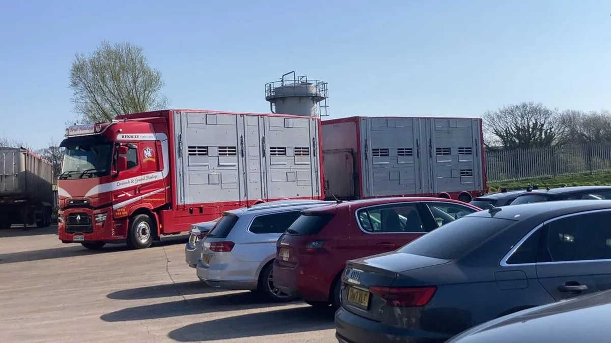 Renault Other 2024 - Image 2