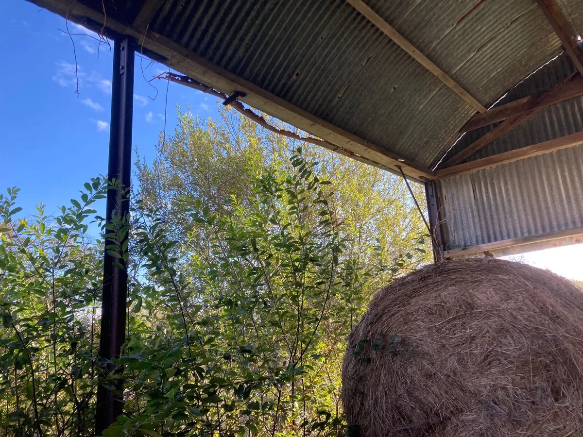 2 block hay shed - Image 4