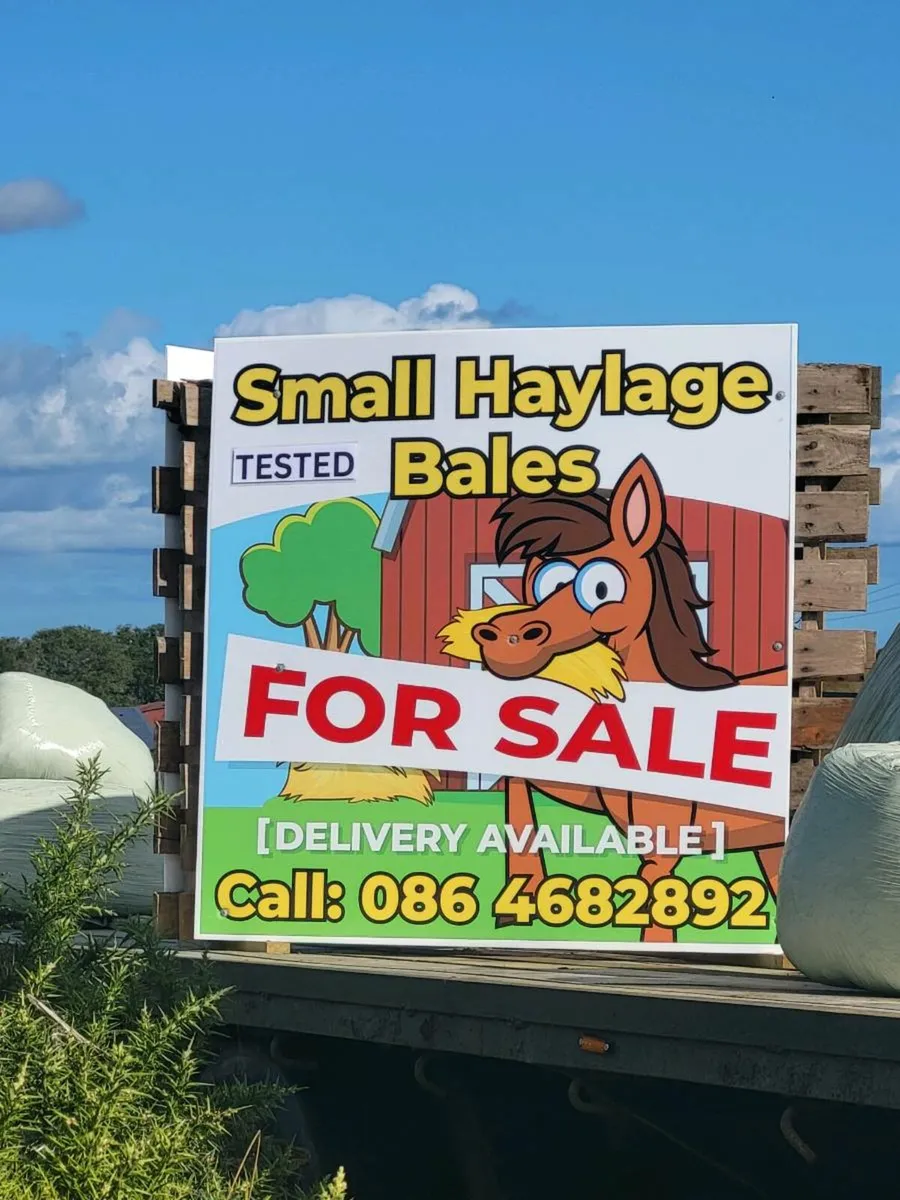 Small haylage bales - Image 2
