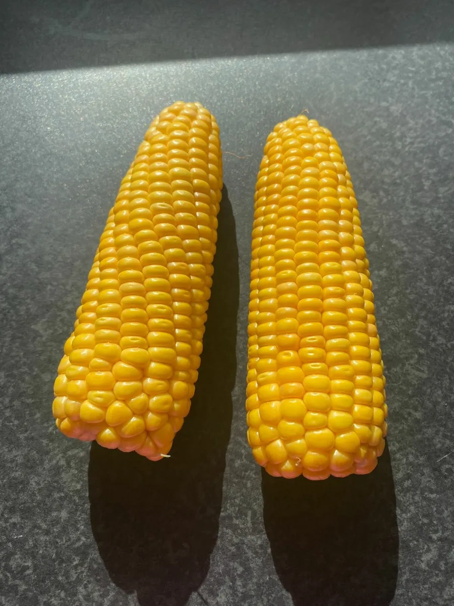 Maize - Image 2