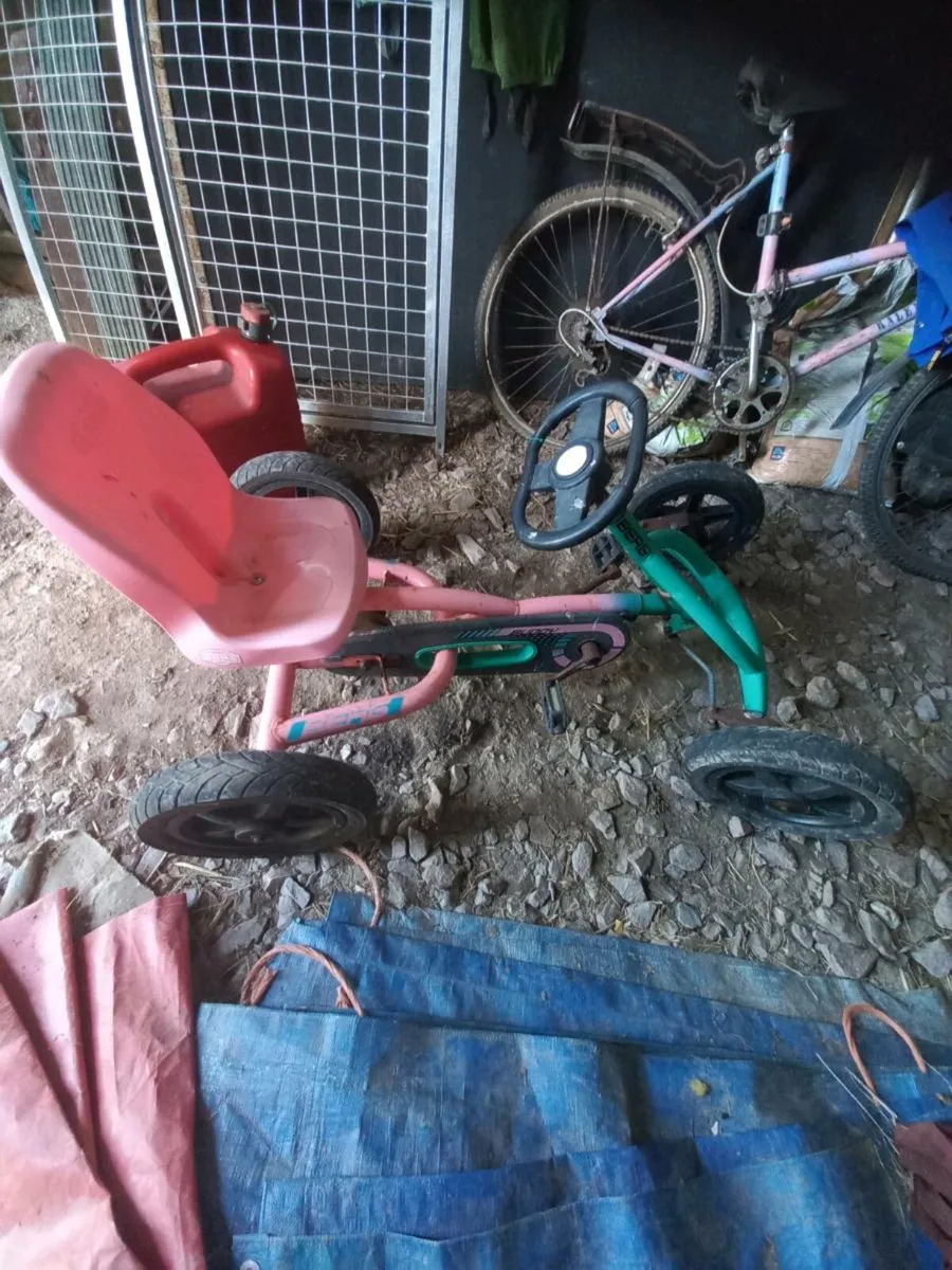 Girls gokart - Image 4