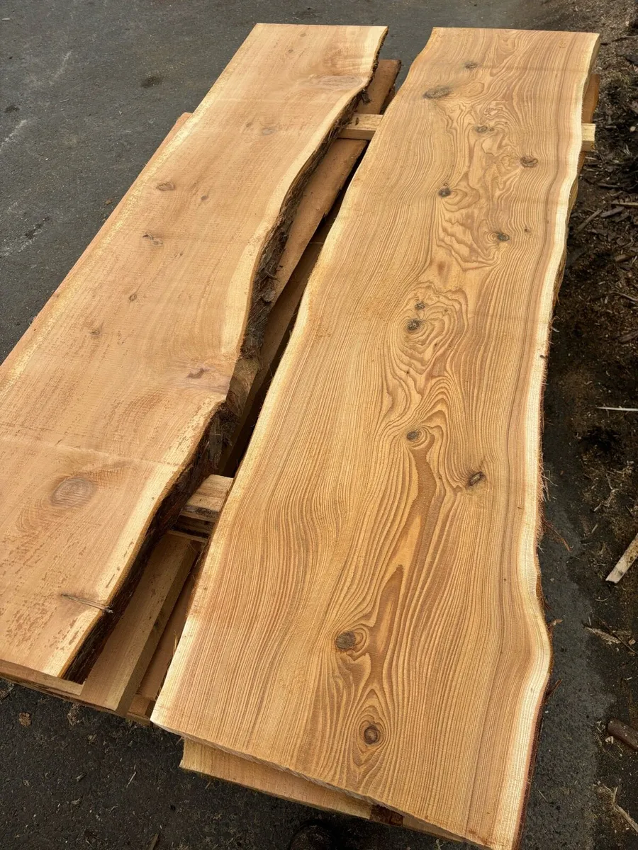Red Ceder Timber - Image 4