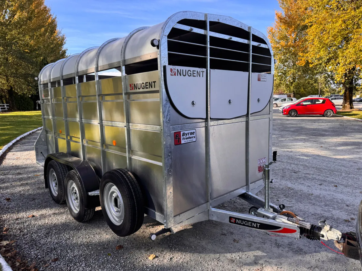 Nugent 12 x 6 cattle Trailer - Image 4