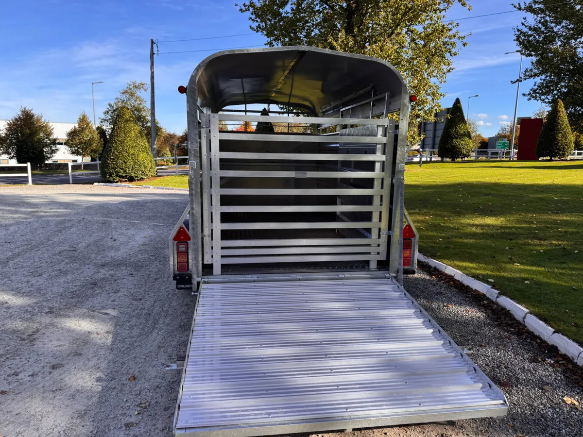 Nugent 12 x 6 cattle Trailer - Image 2