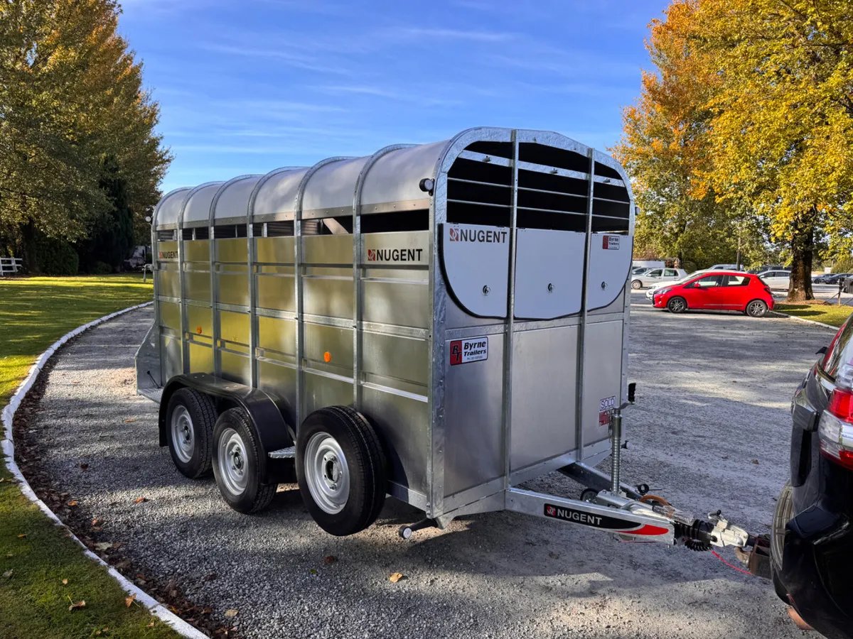Nugent 12 x 6 cattle Trailer - Image 1
