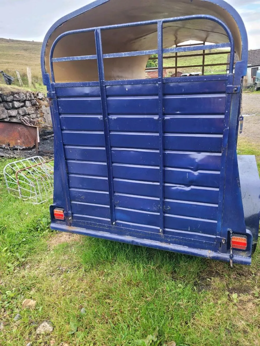 Trailer 8x5 - Image 1