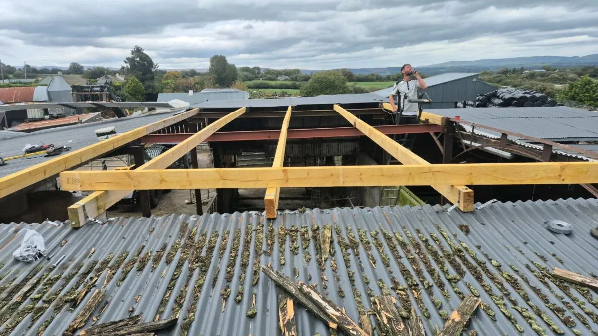 Farm sheds repairs - Image 3