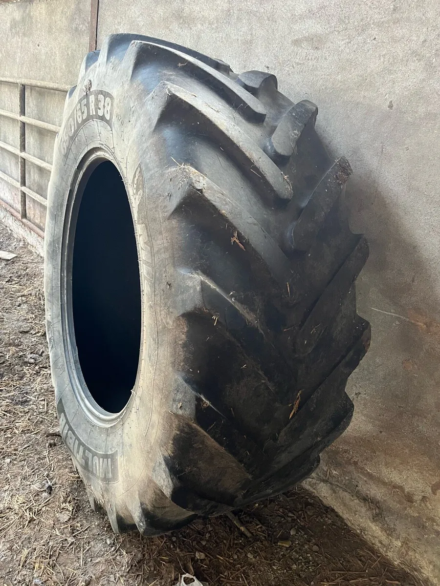 650/65 R38 back tyre - Image 4