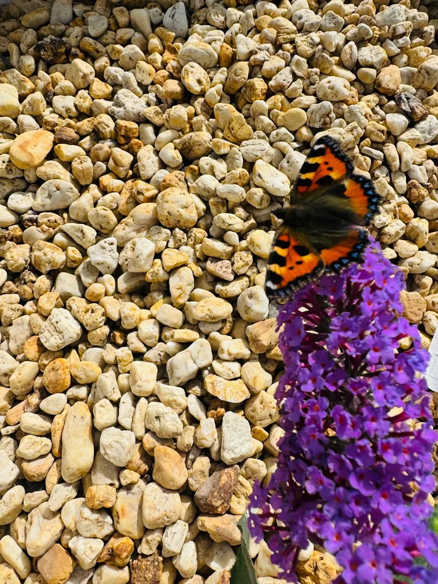Marble chips, grave stones, chips, pebbles, pearl - Image 1