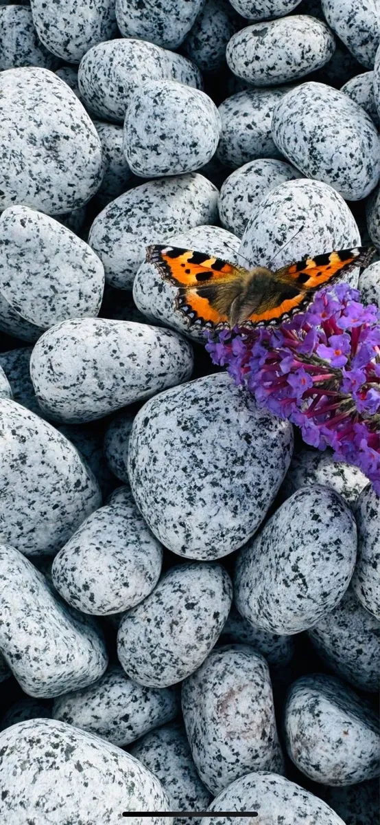 Marble chips, grave stones, chips, pebbles, pearl - Image 1