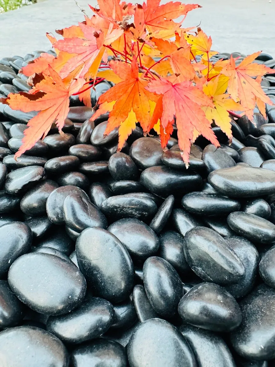 Marble chips, gravestones, chips, pebbles, pearl - Image 2