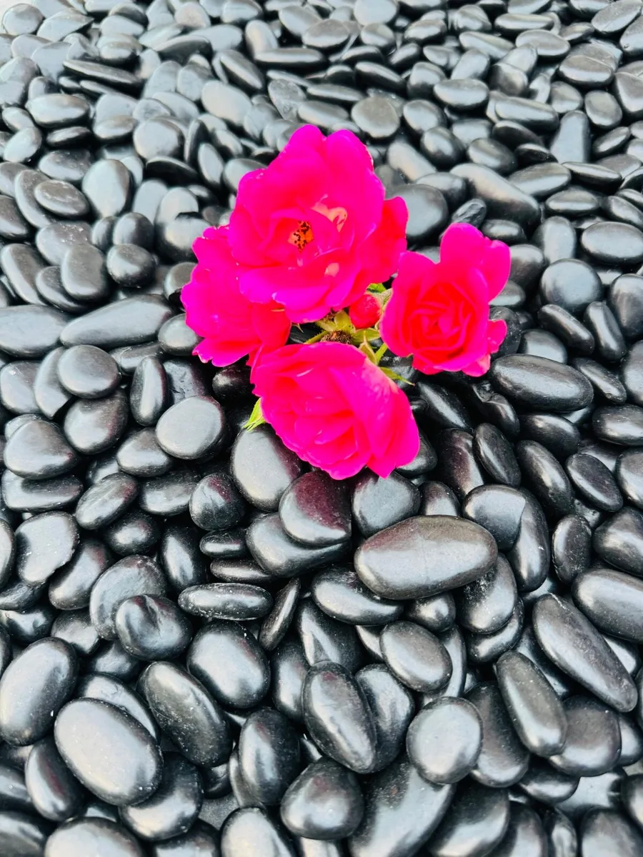 Marble chips, gravestones, chips, pebbles, pearl - Image 3