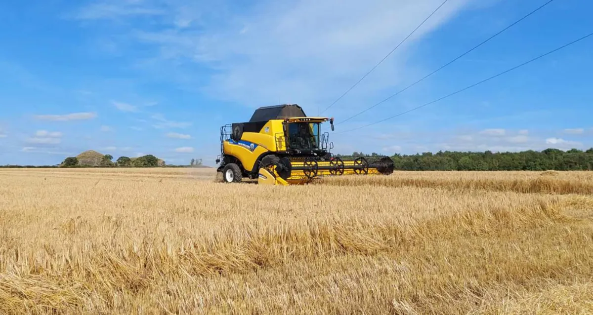 Hay & Straw - Image 1