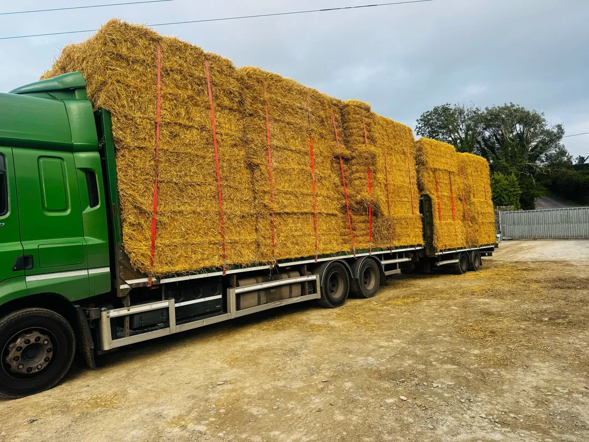 Hay & Straw - Image 3
