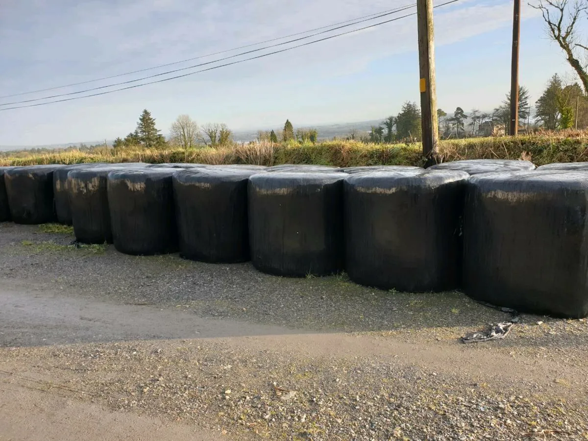 Silage bails for sale