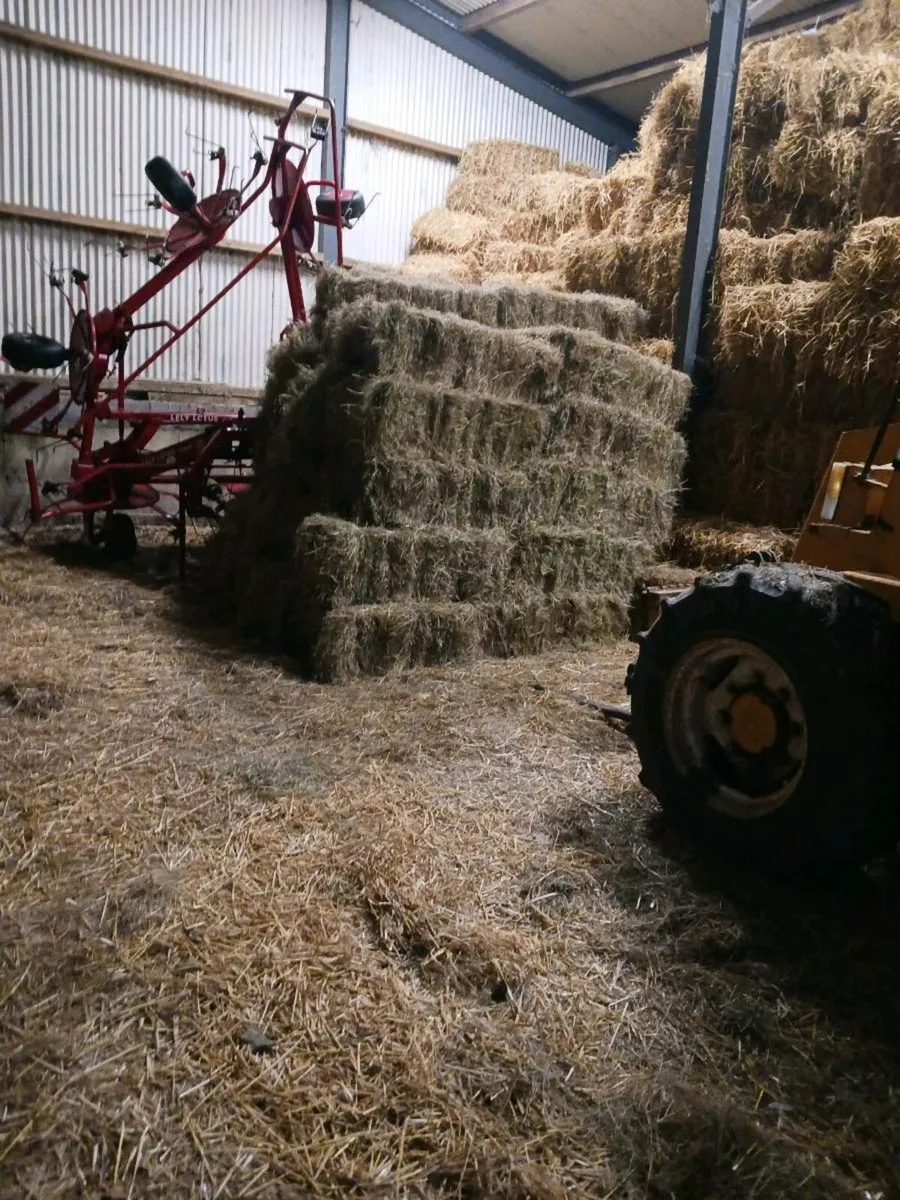 Small square bales of Hay and Straw for sale - Image 1