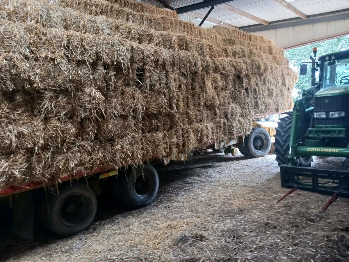 Small square bales of Hay and Straw for sale - Image 2