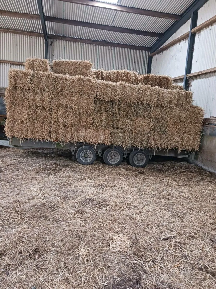 Small square bales of Hay and Straw for sale - Image 3