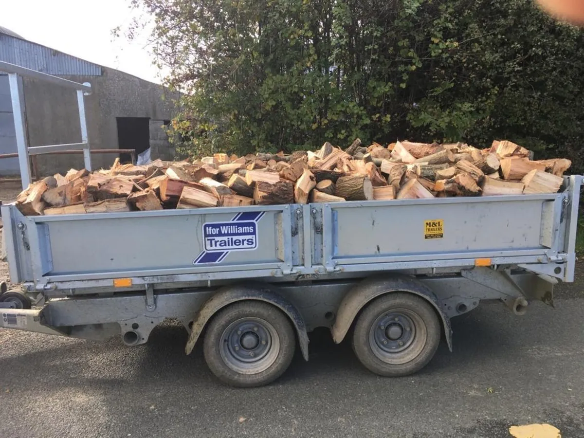 Firewood - Image 1