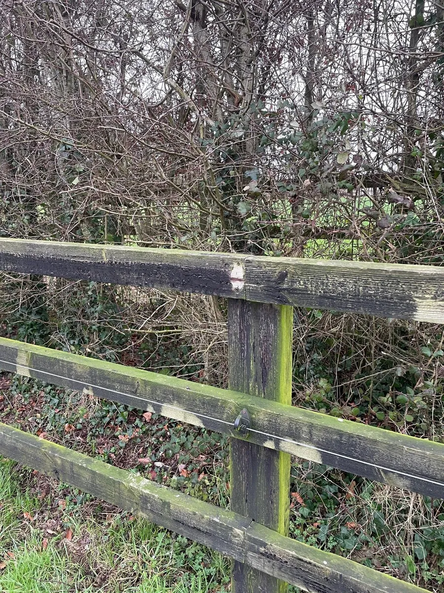 Timber rails - Image 3