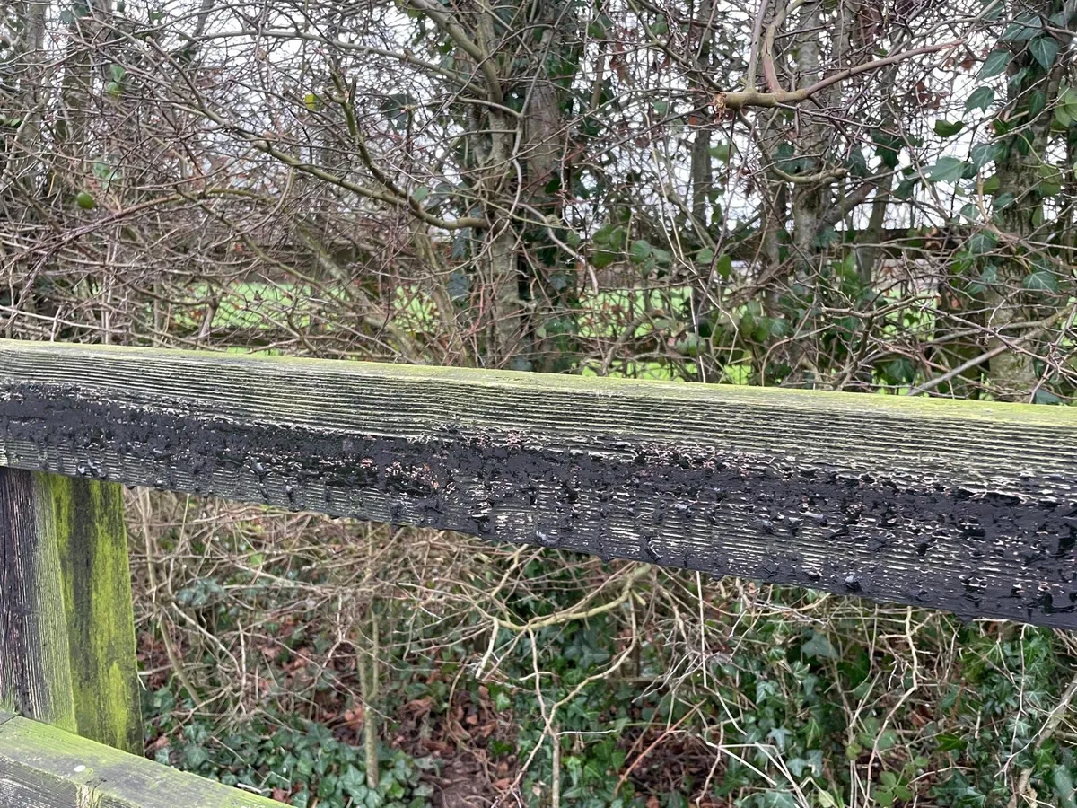 Timber rails - Image 4