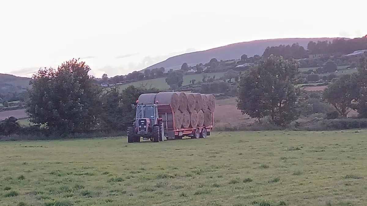 Square and round bales of hay - Image 3
